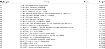 Comprehensive Analysis of Hub Genes Associated With Competing Endogenous RNA Networks in Stroke Using Bioinformatics Analysis